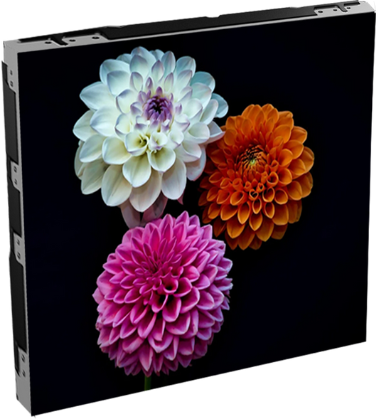 LEDMAN X Series Indoor Fixed LED Display