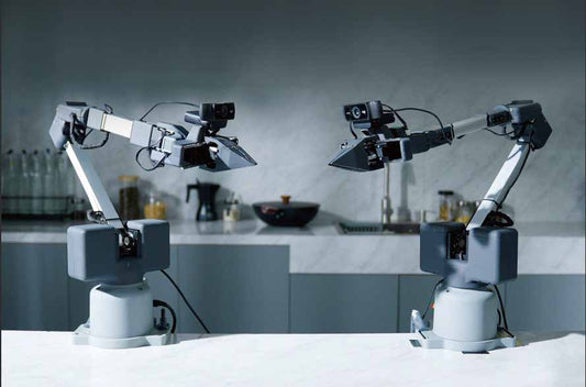Deux bras myArm 300 avec caméras en configuration bimanuelle
