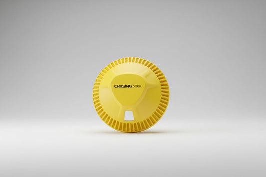 Chasing Underwater Drone - Buoy for Dory (New)